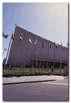 UN Building Flags